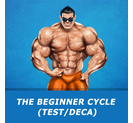 THE BEGINNER CYCLE (TEST/DECA)