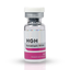 Image 1 - Beligas HGH 100IU - Beligas buy online. Somatropin